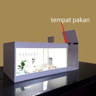 Reptile cage, gecko cage, plus food box and hiding cave