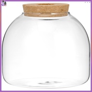 Eco Bottle Ornaments Sealed Terrarium Jar Plant Large Bio Bottles Glass Enclosed Ecosystem  ouxuanme