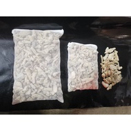 🔥Ready Stock Malaysia🔥 High Quality Philipine Coral Stones/Batu Karang  for Aquarium