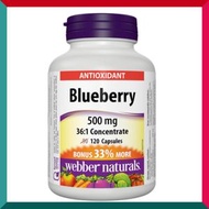 Webber Naturals - 明目抗衰老濃縮藍莓精華 36 : 1 (500 毫克) 加量裝 (多 33 ％) 120 粒 護眼防藍光抗氧化衰老逆齡美肌視力 (效期:01/2029*)