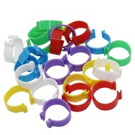 120Pcs Chicken Duck 2.5cm Clip Ring Foot Rings Poultry Carry Supplies 6 Colors