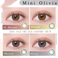 คอนแทคเลนส์ รุ่น Mini Olivia : Gary - Brown - Geen - Light Brown / ยี่ห้อ Kitty kawaii ( ค่าสายตาปกต
