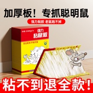 board, glue In stock/Heavy-duty extra-thick mouse trap with super-strong adhesive, effective for cat