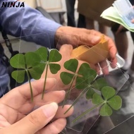 5-20Pcs Acrylic Lucky Artificial Four-Leaf Clover Bookmark - Postcards Perfect Holiday Gifts - Simul