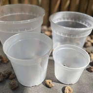 Ready Stock Clear Pot 110 Transparent Aroid Pot CP110