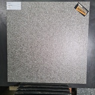 Granit Essenza Graniti GRIGIO PERLA 60x60 cm