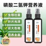 【樂樂屋】磷酸二氫鉀免稀釋花肥料盆栽通用型花卉專用促花磷鉀葉面肥
