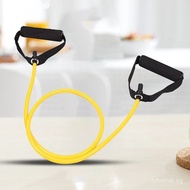 Resistance Bands With Handles | TPE Exercise Bands for Arms, Legs, Hips | Physical Therapy Stretch R