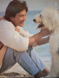 許冠傑黑膠唱片