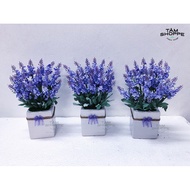 Square ceramic Lavender flower pot No.53