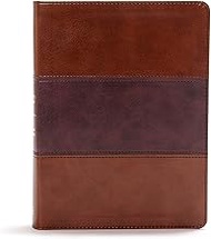 CSB Apologetics Study Bible, Mahogany LeatherTouch: Black Letter, Defend Your Faith, Study Notes and