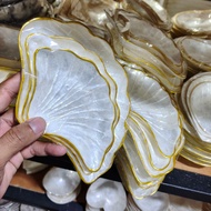 Shell plate white shell model pearl holder plate white shell plate