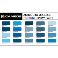 PANTONE Color P38 - Aerosol Spray Paint - CAMEOS 400ML/Bottle