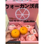 Premium Pink Box Wo Gan 16pcs(1Ctn)