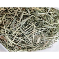 premium Timothy hay imported usa