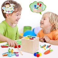 CTD 5 in 1 Sensory Montessori Toys Wooden Educational Toys for Kids 2 years old sensory toys fine mo