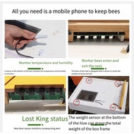 Automatic Self-Flowing Bee Hive Apiculture Beekeeping Beehive Bee Hive Ten Boxes Standard Fully VFP
