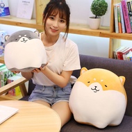 Cute Pudding Pillow Shiba Inu Dog Plush Toy Doll Bed Small Doll Boy Super Soft Birthday Gift Barang Baby Baby Cot Toys for Boys Baby Carrier Basikal Budak Toy Stuffed Animal Patung