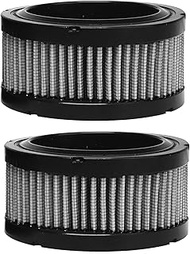2 Pcs BAIZHIHUA 32170979 Air Element Filter Fits Ingersoll Rand Compressor Replaces ST073905AV, P505