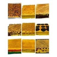 Homemade Batam kueh lapis