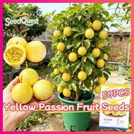 100% Original 50pcs Fresh Yellow Passion Fruit Seed for Planting Fruit Trees High Yield Dwarf Bonsai