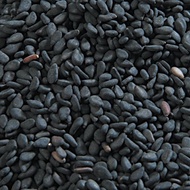 Bijan Hitam Lengah Hitam, Organic BLACK SESAME Seeds, 有机黑芝麻种子