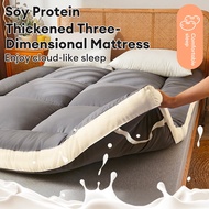 Tatami Mattress/Toto Tebal/Bed Topper/Tilam Bujang/Single Queen King Tebal/ Topper Mattress Spring F