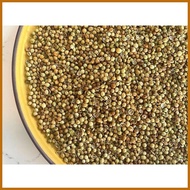 △ ∝ ╯ Kulantro/Coriander Seeds 10g