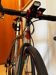 Lynskey 碟殺鈦合金公路車48cm