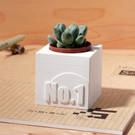 No.1 | 多肉植物水泥盆栽 | 好照顧 質感 送禮 客製化禮物