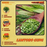 biji/benih/bibit tanaman lamtoro gung /50 biji