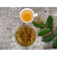 Gbt Guava Leaf Tea << << Guava Leaf Tea 40G Stone