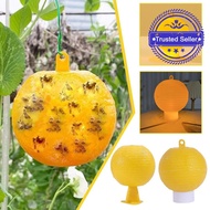 Fly Lure Ball Yellow Green Whole Box Of Fly Lure Ball Lure Fruit Ball Fly Fly Fruit Fruit Bee L1p7