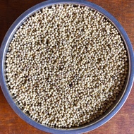 Lada Putih Butir | White Pepper | Merica Butir | 250gr | 500gr