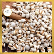 Chinese Barley Pure Barli
