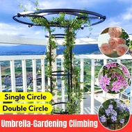 Garden Umbrella Trellis 120–210cm | Single & Double Circle | Climbing Plant Support