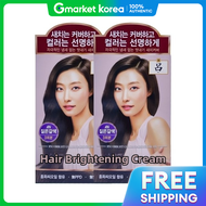 Ryo | Ryo Elegant Hair Dye Cream 4N Dark Brown x2 Pack