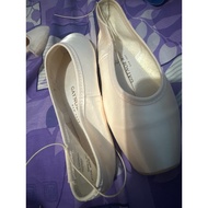 Pointe Ballet Shoes Gaynor Minden