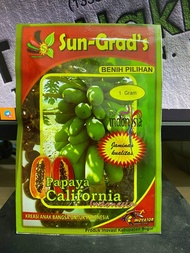 Benih Betik Sekaki SUN GRAD'S California (1gm)