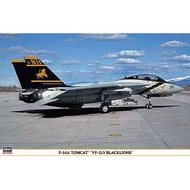 Hasegawa 1/48 09814 F-14A Tomcat 'VF-213 Blacklions'