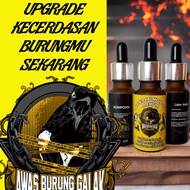 super salmon oil premium omega+ untuk mencerdaskan burung