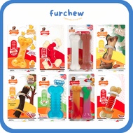 [SG] Nylabone Medium DuraChew Dog Chew Toy - Medium Wolf for Dogs up to 35lbs / 16kg