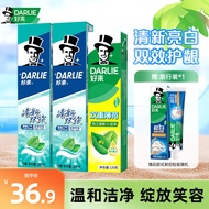 好来（DARLIE）原黑人清新双效薄荷味大容量护龈成人含氟牙膏 清新双效200g*2+薄荷120g