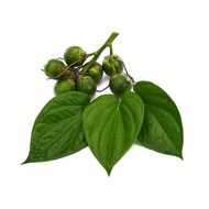 Betel nut (5 fresh fruits, 10 betel leaves, cinnamon, lime)
