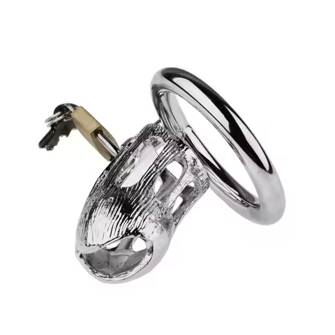 Stainless Steel Penises Lock Chastity Flirting Dick Stimulation Cockring Sensual Couple Fun Stimulat