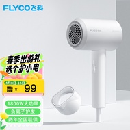 飞科 FLYCO 电吹风机宿舍用 柔风负离子恒温护发 家用冷热大风量快速干发吹风筒FH6290 1800W