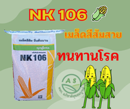 เมล็ดพันธุ์ข้าวโพด NK106 เมล็ดสีส้มสวย ทนทานโรค ขนาดบรรจุ 10 กิโลกรัม ผลผลิตสูง ฝักใหญ่ แกนเล็ก สินค