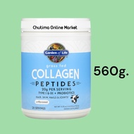 Garden of life Grass Fed Collagen Peptides Powder (Type IIII) for Skin Hair Nail Joint คอลลาเจนเปปไท