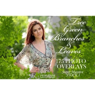 Green Tree Branches Overlays