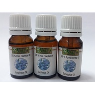 Eucalyptus Oil 10 ml